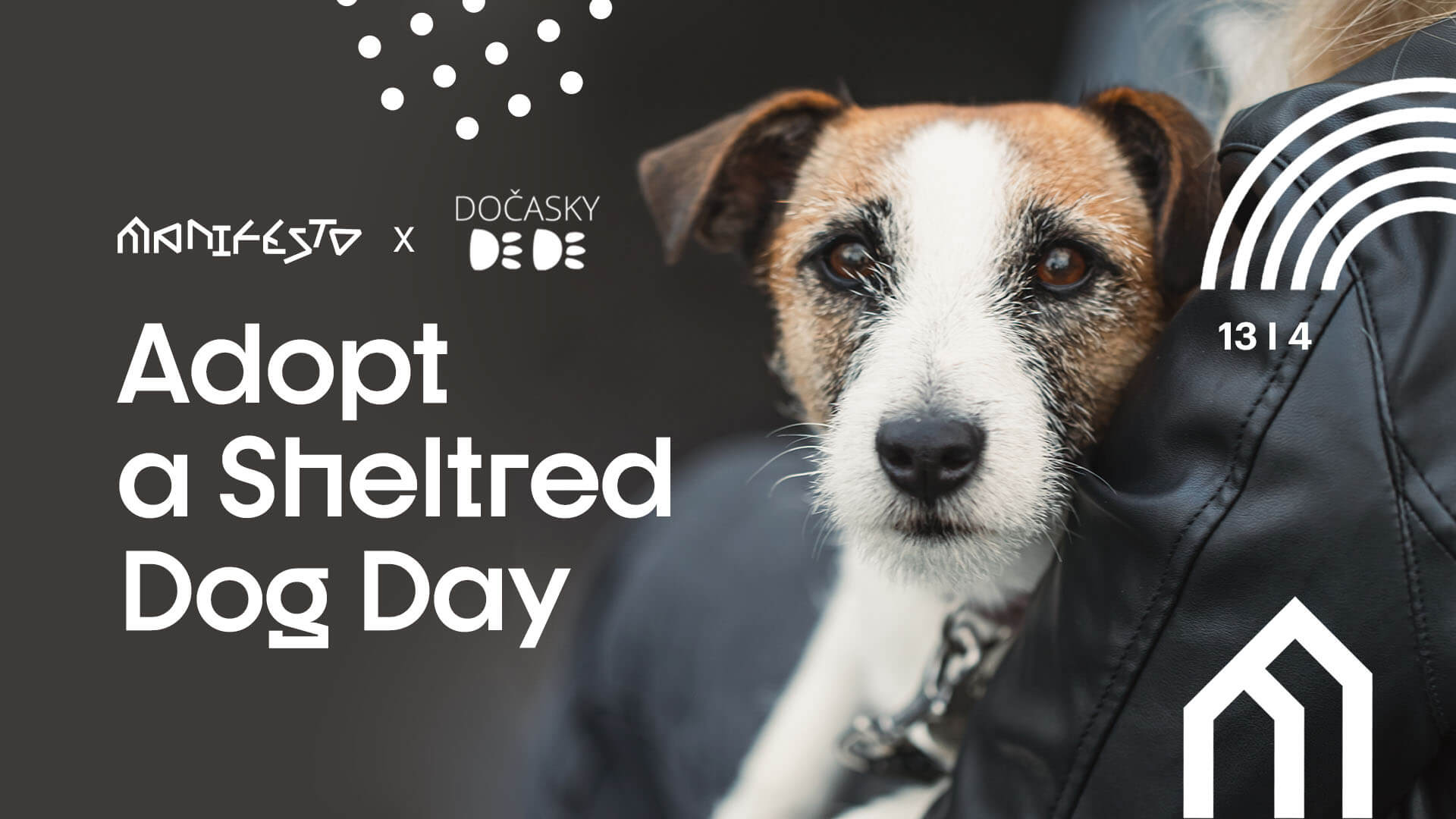 Adopt A Sheltered Dog Day, 13/04